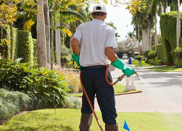 About Florida NY Pest Control Pros